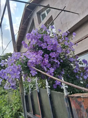 Vând casă în Dascălu, IF - imagine 3