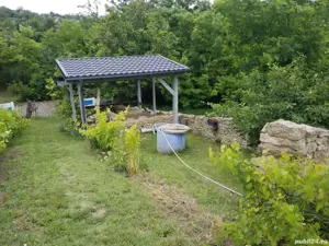 Vănd Teren Dorobant ( Com Aroneanu )