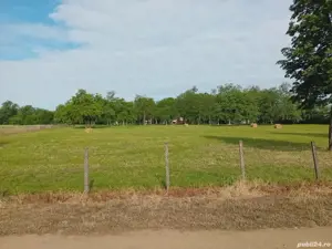 Proprietar vând teren intravilan in Sofronea 16522 mp - imagine 2