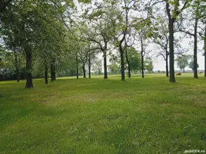 Proprietar vând teren intravilan in Sofronea 16522 mp - imagine 5