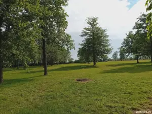 Proprietar vând teren intravilan in Sofronea 16522 mp - imagine 4