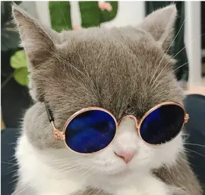 Ochelari pentru animale (pisici, câini)