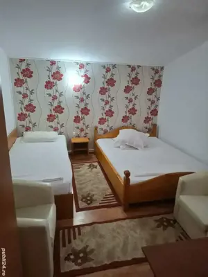 cazare zona Ocnele Mari,Ocnita  - imagine 2