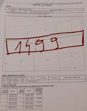 Teren intravilan Becicherecu-Mic PROPRIETAR Comision 0 - imagine 3