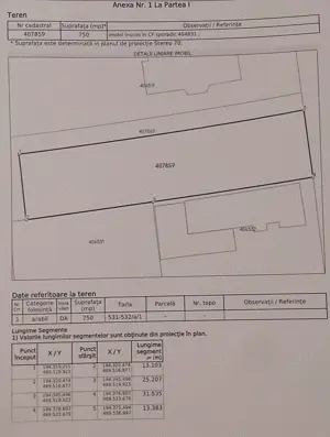 Teren intravilan Becicherecu-Mic PROPRIETAR Comision 0 - imagine 4