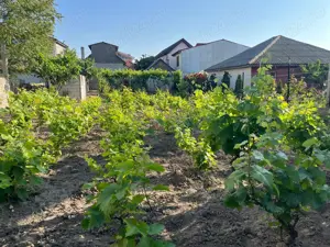 Teren la mare, intravilan de 840mp - imagine 3