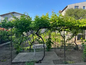 Teren la mare, intravilan de 840mp - imagine 6