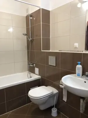 Apartament cu 2 camere zona sos. Giurgiului - imagine 4