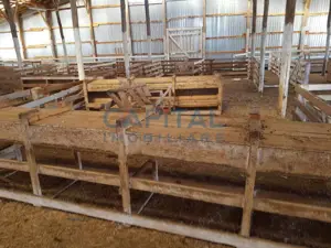 Ferma langa Oravita 5600 mp construiti si teren 24281 intravilan - imagine 8