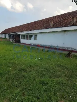 Ferma langa Oravita 5600 mp construiti si teren 24281 intravilan - imagine 5