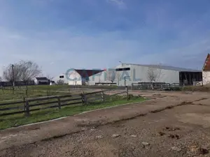 Ferma langa Oravita 5600 mp construiti si teren 24281 intravilan - imagine 4