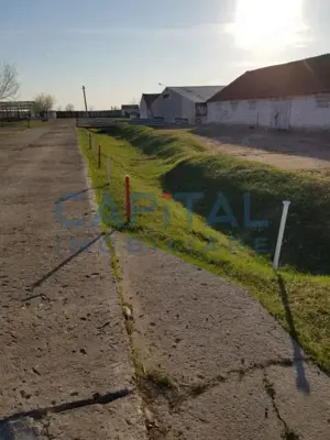 Ferma langa Oravita 5600 mp construiti si teren 24281 intravilan - imagine 13