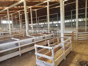 Ferma langa Oravita 5600 mp construiti si teren 24281 intravilan - imagine 9