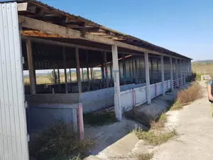 Ferma langa Oravita 5600 mp construiti si teren 24281 intravilan - imagine 6