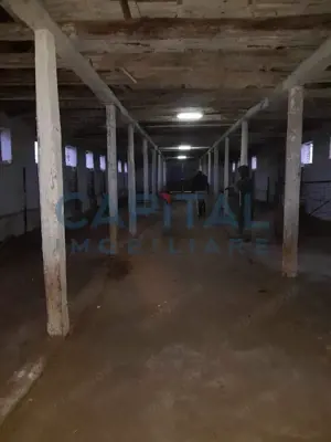 Ferma langa Oravita 5600 mp construiti si teren 24281 intravilan - imagine 7