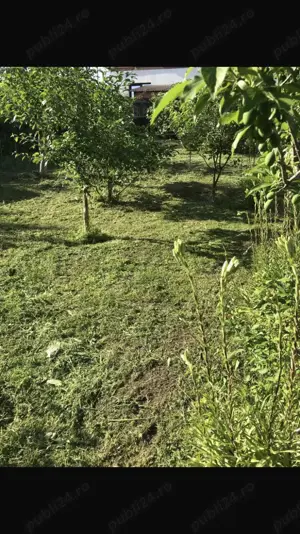 Vand teren intravilan VALU LUI TRAIAN - imagine 3