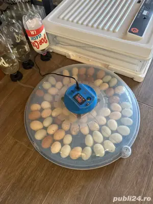 incubator oua automat 80 de oua - imagine 2