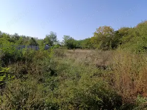 Teren intravilan Baicoi PH 1130 mp  - imagine 2