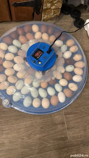 incubator oua automat 80 de oua - imagine 5