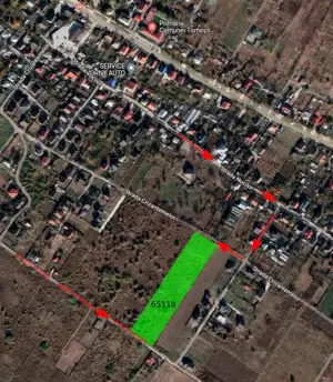 vând teren intravilan - 11.000 mp2 situat în Tomesti Deal - Iasi  - imagine 3