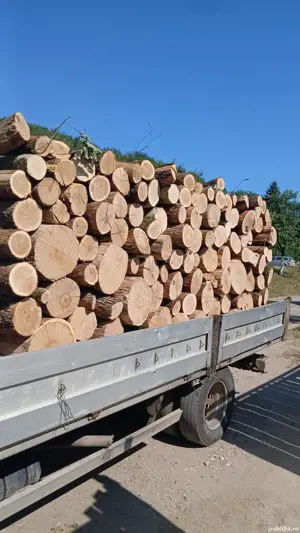 lemne de foc la comanda 