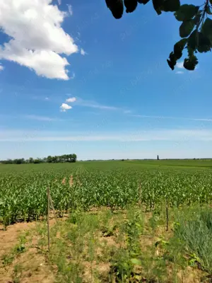 Vând casă în Voivozi, comuna Șimian - imagine 4