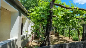 Vând casă în Voivozi, comuna Șimian - imagine 3