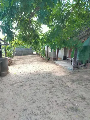 Vând casă în Voivozi, comuna Șimian - imagine 6