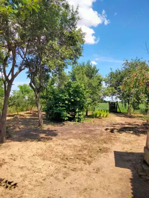 Vând casă în Voivozi, comuna Șimian - imagine 7