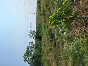 Vand teren intravilan + casa batraneasca