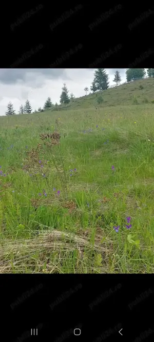 Vand teren intravilan. 