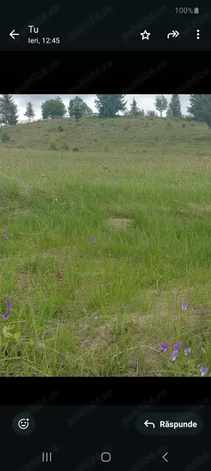 Vand teren intravilan.  - imagine 2