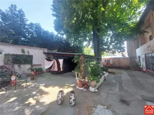 Casa D+P, zona Bou Rosu, pentru locuit sau afacere - imagine 6