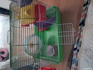Vand 3 custi pt hamster plus doua rotite pt hamster si o punga de talaj la 1 kg 