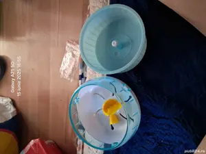 Vand 3 custi pt hamster plus doua rotite pt hamster si o punga de talaj la 1 kg  - imagine 3
