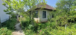 Casă bătrânească de vânzare în sat Devesel, județul Mehedinți - imagine 5