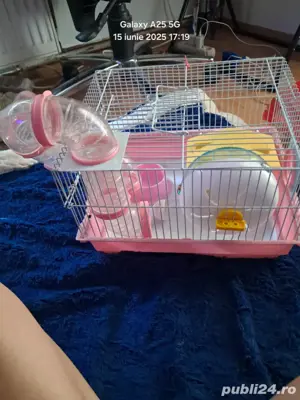 Vand 3 custi pt hamster plus doua rotite pt hamster si o punga de talaj la 1 kg  - imagine 4