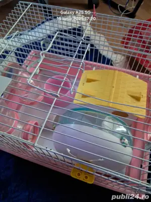 Vand 3 custi pt hamster plus doua rotite pt hamster si o punga de talaj la 1 kg  - imagine 5
