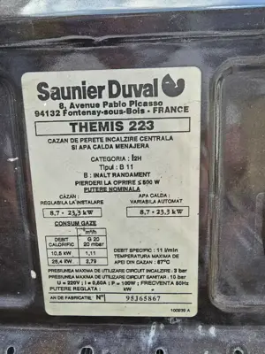 Centrala termica Saunier Duval THEMIS 223