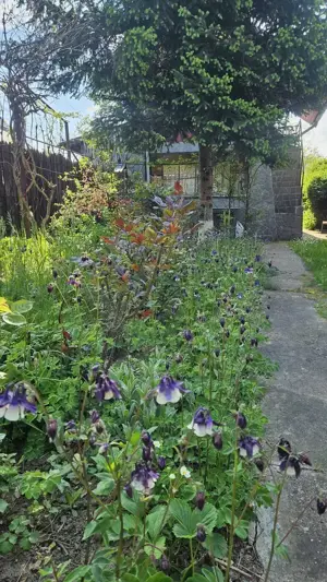 Casa de vânzare în loc. Dițești, com. Filipeștii de Pădure, jud. Prahova