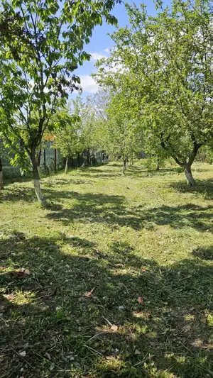 Casa de vânzare în loc. Dițești, com. Filipeștii de Pădure, jud. Prahova - imagine 10