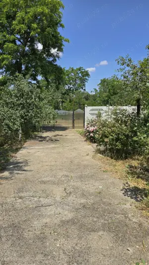 Teren si casa batraneasca - imagine 3