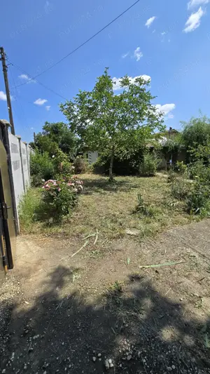 Teren si casa batraneasca - imagine 10