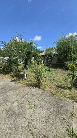 Teren si casa batraneasca - imagine 4