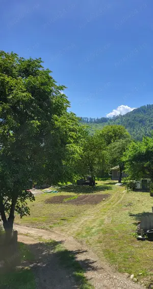 Teren si casa Sat Tarcau zona Garii - imagine 3