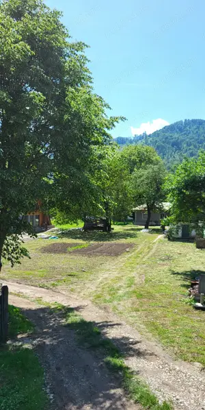 Teren si casa Sat Tarcau zona Garii - imagine 4