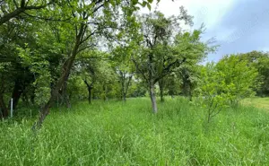 Casă săsească în inima Transilvaniei- Viscri  - imagine 9