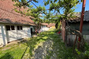 Casă săsească în inima Transilvaniei- Viscri  - imagine 6