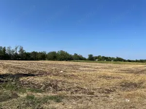 Vând teren intravilan agricol   3.500 m  - imagine 3