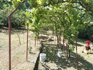 Anina, Celnic, Casa la Cheie, 12 Incaperi, Zero COMISION - imagine 18